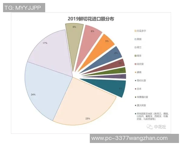 2026年3月份新闻独家分析V5灵活性对比各大竞争产品的优势与不足